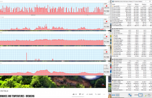 perf temps browsing 1