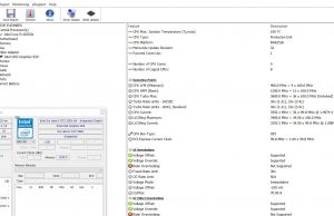 hwinfo cpu1 i5 1035g1