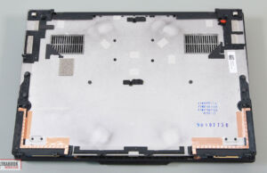 internals back